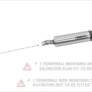 Arrow MaXi Race-Tech Approved titanium silencer with carby end cap BMW F 800 R 0
