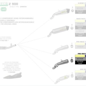 Arrow Pro Race Edelstahl Kawasaki Z 900/A2 17-22