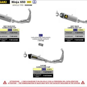 ARROW Indy Race EVO Aluminium schwarz Kawasaki NINJA 650-Z 650 21-23