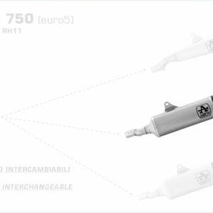 Arrow Indy-Race lange Version Aluminium HONDA FORZA 750 21-